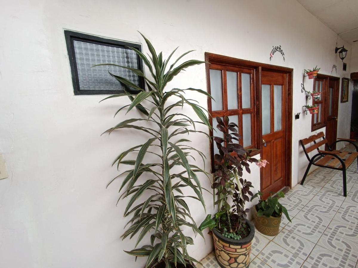 Casa Petirrojo - Habitaciones En Pátzcuaro Exterior foto